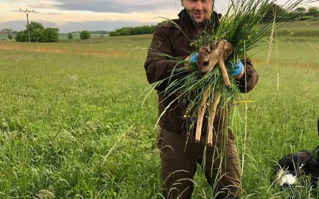 Sekačky zabijí tisíce srnčat, zachránit se je snaží myslivci i dobrovolníci