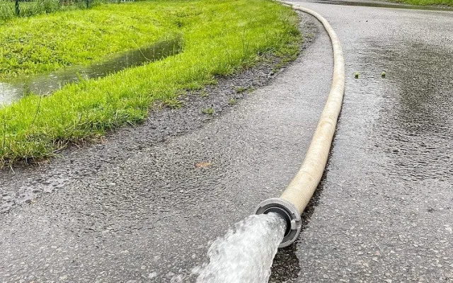 Lupenice na Rychnovsku