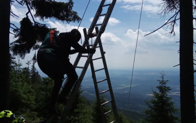Paraglidista zůstal viset na stromě. Dolů ho sundali hasiči