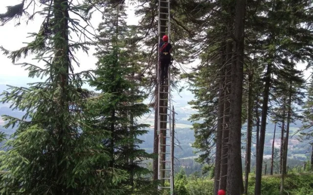Paraglidista zůstal viset na stromě. Dolů ho sundali hasiči