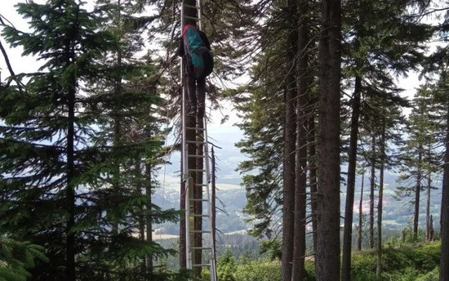 Paraglidista zůstal viset na stromě. Dolů ho sundali hasiči