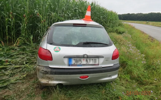 FOTO: Srnka překvapila nepřipravenou řidičku. Strhla volant a skončila na střeše v poli