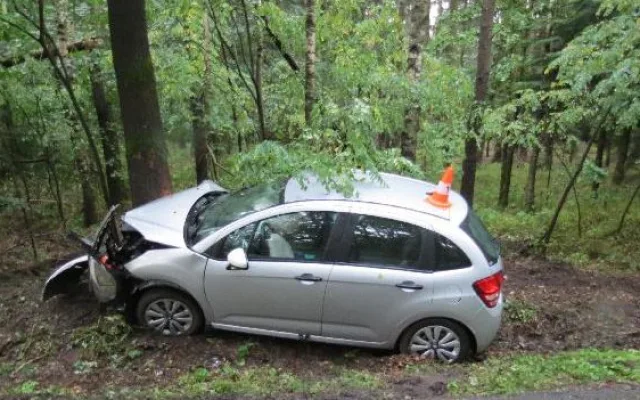 Rychlou jízdu na mokru ukončil až strom vedle silnice. Řidič je v nemocnici