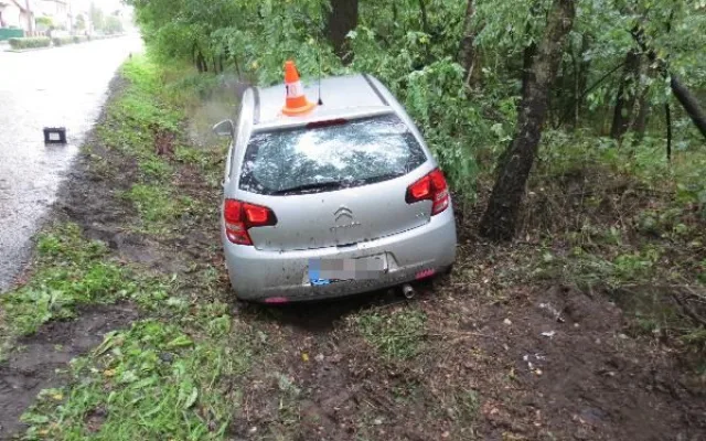 Rychlou jízdu na mokru ukončil až strom vedle silnice. Řidič je v nemocnici