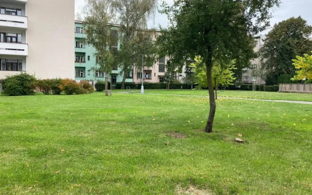 Radnice chce obnovit a oživit Sady architekta Lisky. Práce mají začít příští rok