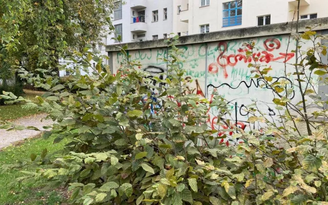Radnice chce obnovit a oživit Sady architekta Lisky. Práce mají začít příští rok