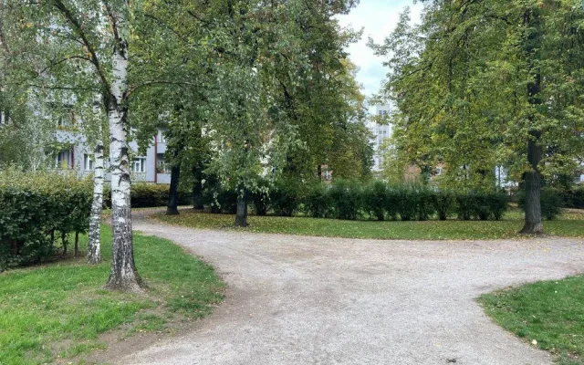 Radnice chce obnovit a oživit Sady architekta Lisky. Práce mají začít příští rok