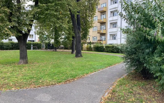 Radnice chce obnovit a oživit Sady architekta Lisky. Práce mají začít příští rok