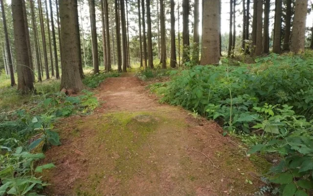 Singletrack Zdobnice