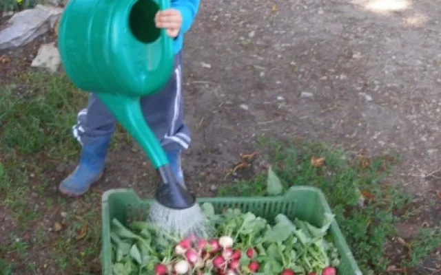 Vykašlali jsme se na práci v Praze a založili si farmu, říkají Susovy. Splnili si tak celoživotní sen