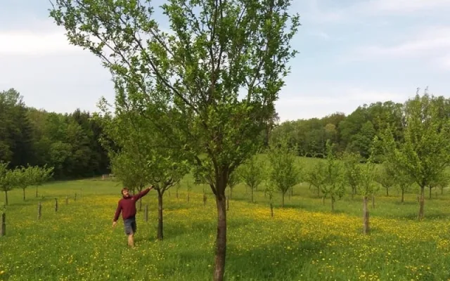 Vykašlali jsme se na práci v Praze a založili si farmu, říkají Susovy. Splnili si tak celoživotní sen