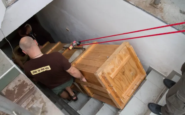 Převoz samice vzácného krokodýla štítnatého