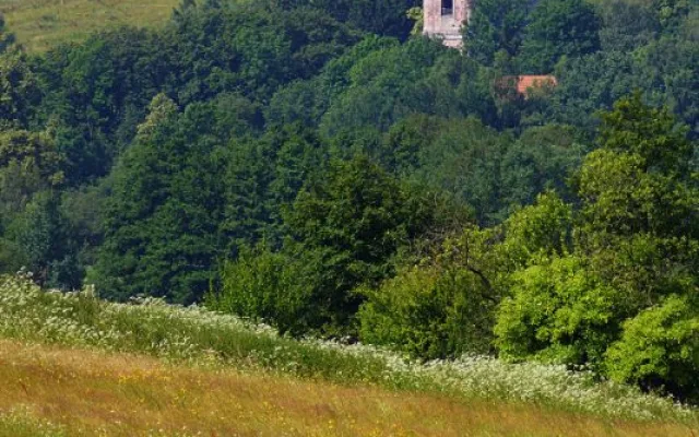 Broumovské kostely se můžou stát národní kulturní památkou