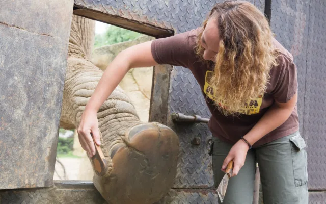 Safari Park během pandemie přišel o 30 milionů korun. I tak se letos narodilo 630 mláďat