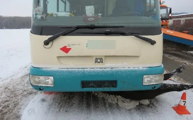Na Trutnovsku do silnice vběhli koně. Způsobili nehodu dvou autobusů a dvou osobáků