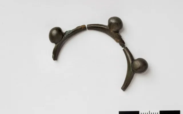 Archeologové hradeckého muzea našli poklad z doby laténské na hranici civilizace