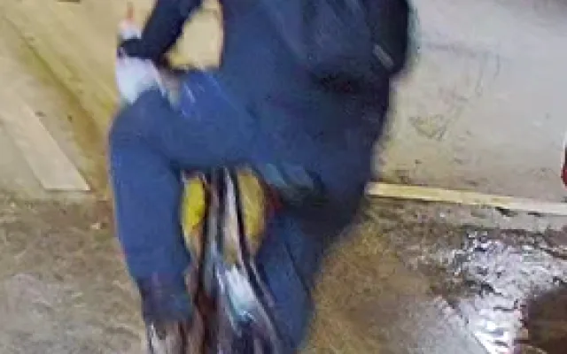 Policie pátrá po "umělci", který pomaloval Katschnerku