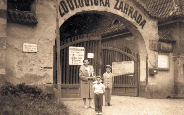 Safari Park ve Dvoře Králové dnes slaví 75 let. Prohlédněte si dobové fotografie