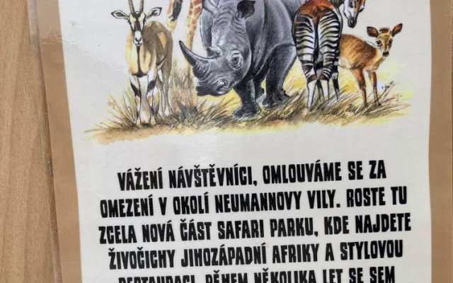 Safari Park ve Dvoře Králové chce chovat tučňáky. Staví pro ně speciální pavilon