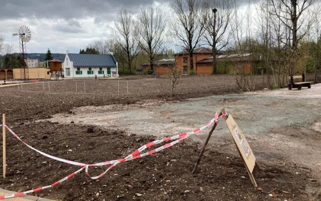 Safari Park ve Dvoře Králové chce chovat tučňáky. Staví pro ně speciální pavilon