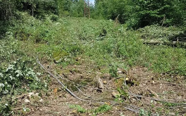 Spadlé dráty vysokého napětí u přehrady Les Království