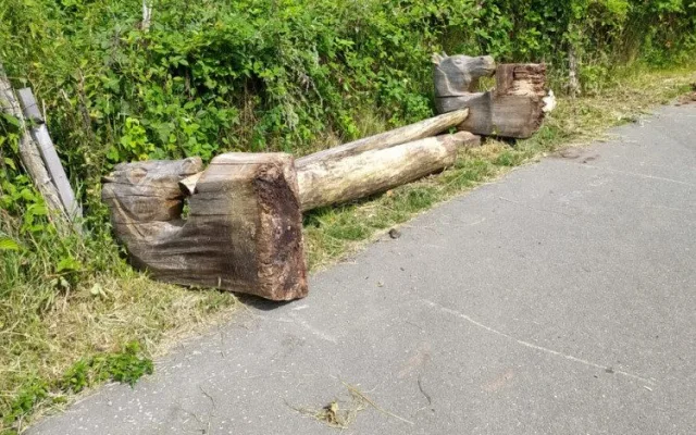 V Hořicích řádí vandalové. Nejdřív zdemolovali cyklostezku, teď sochu na Gothardu