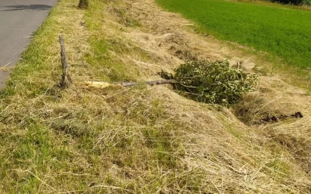 V Hořicích řádí vandalové. Nejdřív zdemolovali cyklostezku, teď sochu na Gothardu