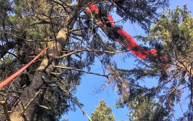 Pod Černou horou spadla paraglidistka, zůstala viset deset metrů nad zemí