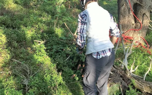 Pod Černou horou spadla paraglidistka, zůstala viset deset metrů nad zemí
