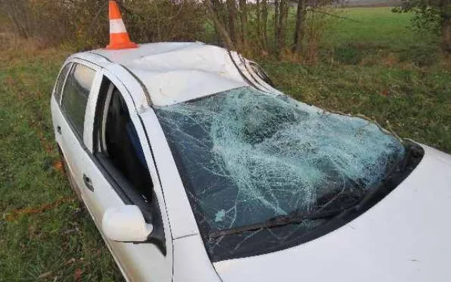 Dva mladíci se opili a pak sedli za volant. Oslava narozenin skončila nárazem do stromu