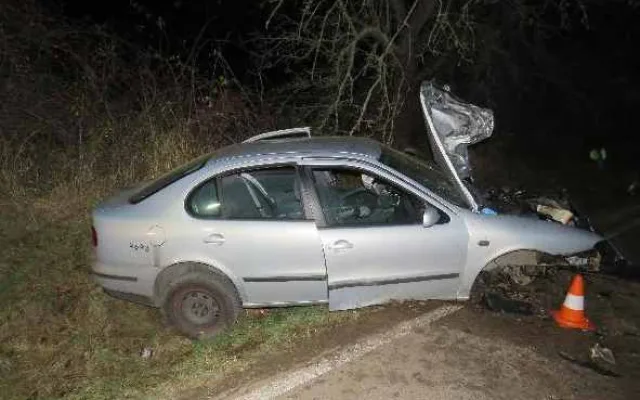 Devatenáctiletý mladík narazil se svým autem do stromu. Tachometr se zasekl na stodvacítce