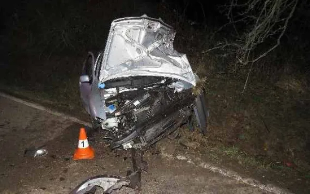 Devatenáctiletý mladík narazil se svým autem do stromu. Tachometr se zasekl na stodvacítce