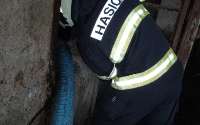 Zvědavá kráva skočila do silážní věže. Ven se dostala až s pomocí hasičů