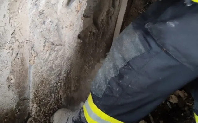 Zvědavá kráva skočila do silážní věže. Ven se dostala až s pomocí hasičů