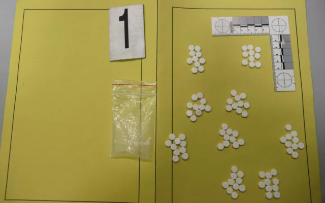 Policie rozprášila organizovaný gang, který pašoval do věznice Valdice drogy