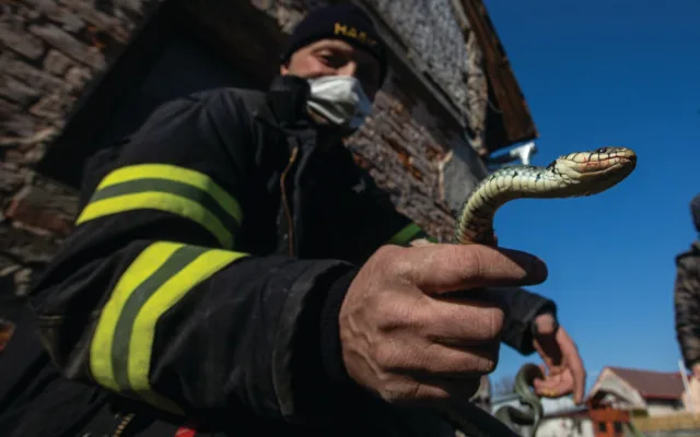 Hasiči v kraji bilancují loňský rok. Zachránili život více než dvěma tisícům lidí