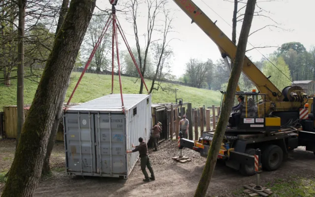 Safari Park Dvůr Králové vypustil do venkovní expozice stádo sedmi hrochů