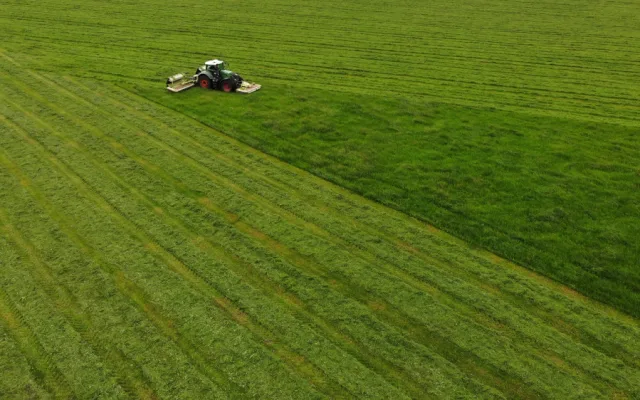Každý rok zemře při sečích na loukách až 60 tisíc srnčat, zachraňují je dobrovolníci i dronaři s termokamerou
