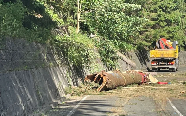 Po pádu stromu na auto v Krkonoších na cestě do Malé Úpy zemřeli tři lidé