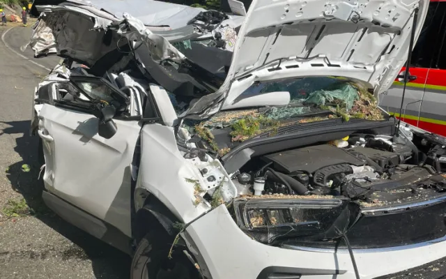 Po pádu stromu na auto v Krkonoších na cestě do Malé Úpy zemřeli tři lidé