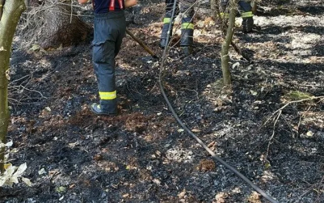 V Českém Švýcarsku pomáhají i dobrovolní hasiči z Hradce Králové. Denně naběhají 14 kilometrů