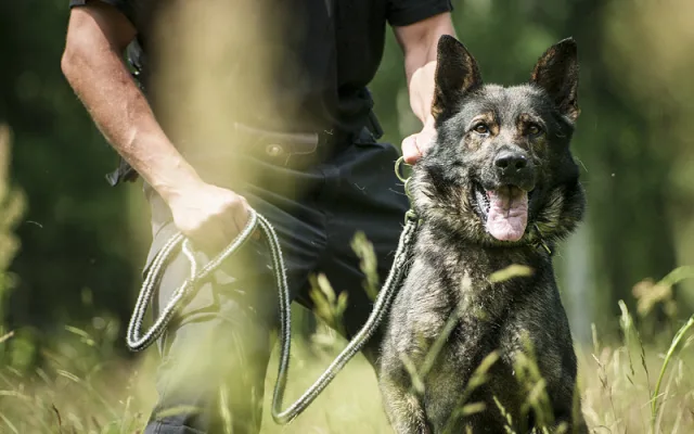 Jsme policie. Práce 158 krát jinak