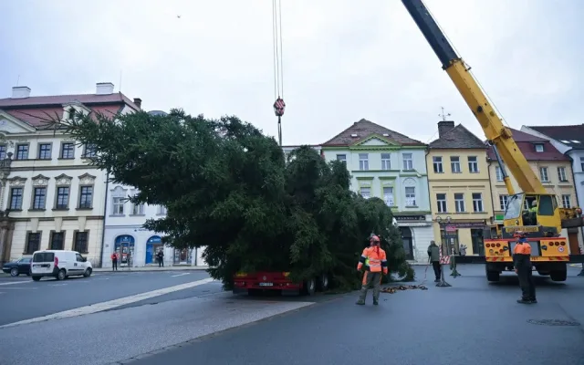 Vánoční strom na Velkém náměstí v Hradci Králové