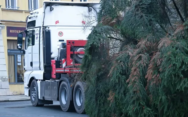Vánoční strom na Velkém náměstí v Hradci Králové