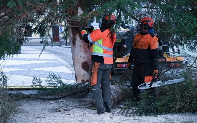 Vánoční strom na Velkém náměstí v Hradci Králové