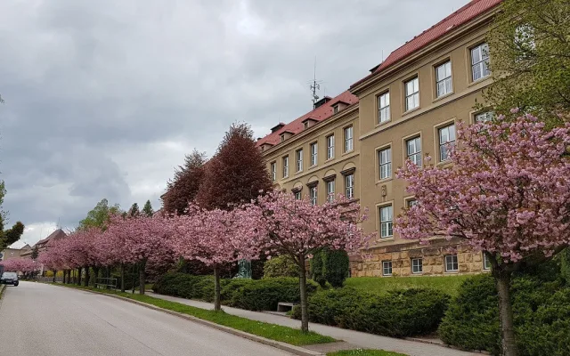 Gymnázium a Střední odborná škola pedagogická v Nové Pace