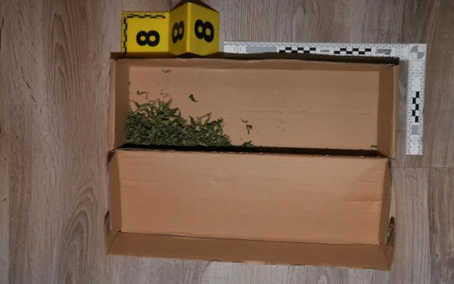Vydělávali si prodejem pervitinu, extáze a trávy. Skupina dealerů může až na deset let do vězení