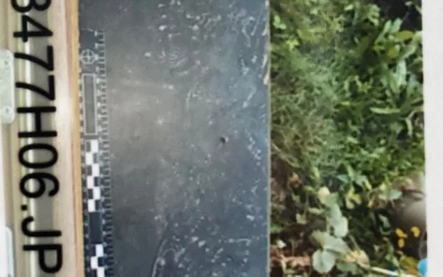 Gang bytařů napáchal škodu za miliony. Podle policie řádil i na Náchodsku