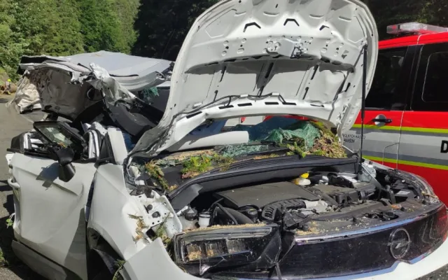 Policie odložila případ pádu stromu na osobní auto u Horního Maršova. Při nehodě zemřeli tři lidé