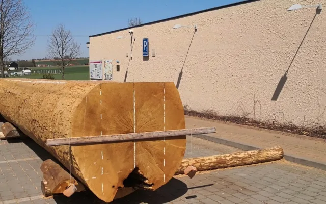 budoucí dno monoxylu